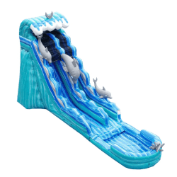 JCXD WS19D 01 1749267470 2 THE DOLPHIN DROP