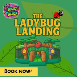 The Ladybug Landing