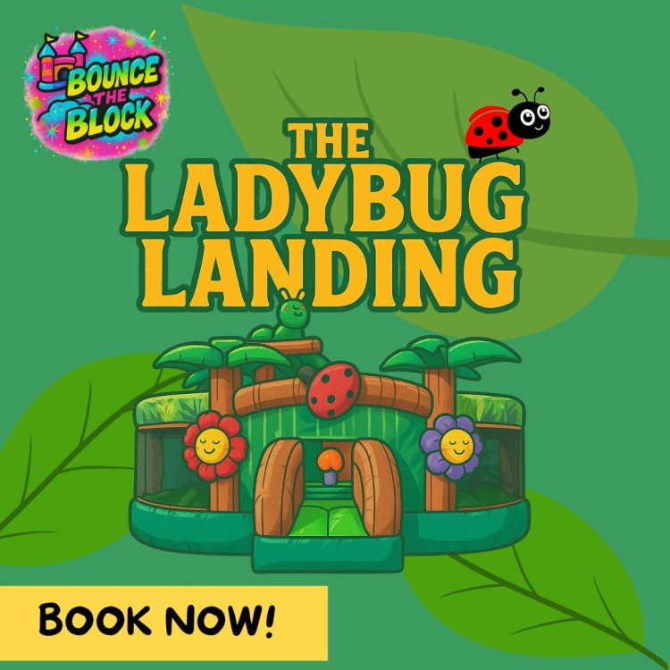 The Ladybug Landing